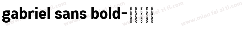 gabriel sans bold字体转换